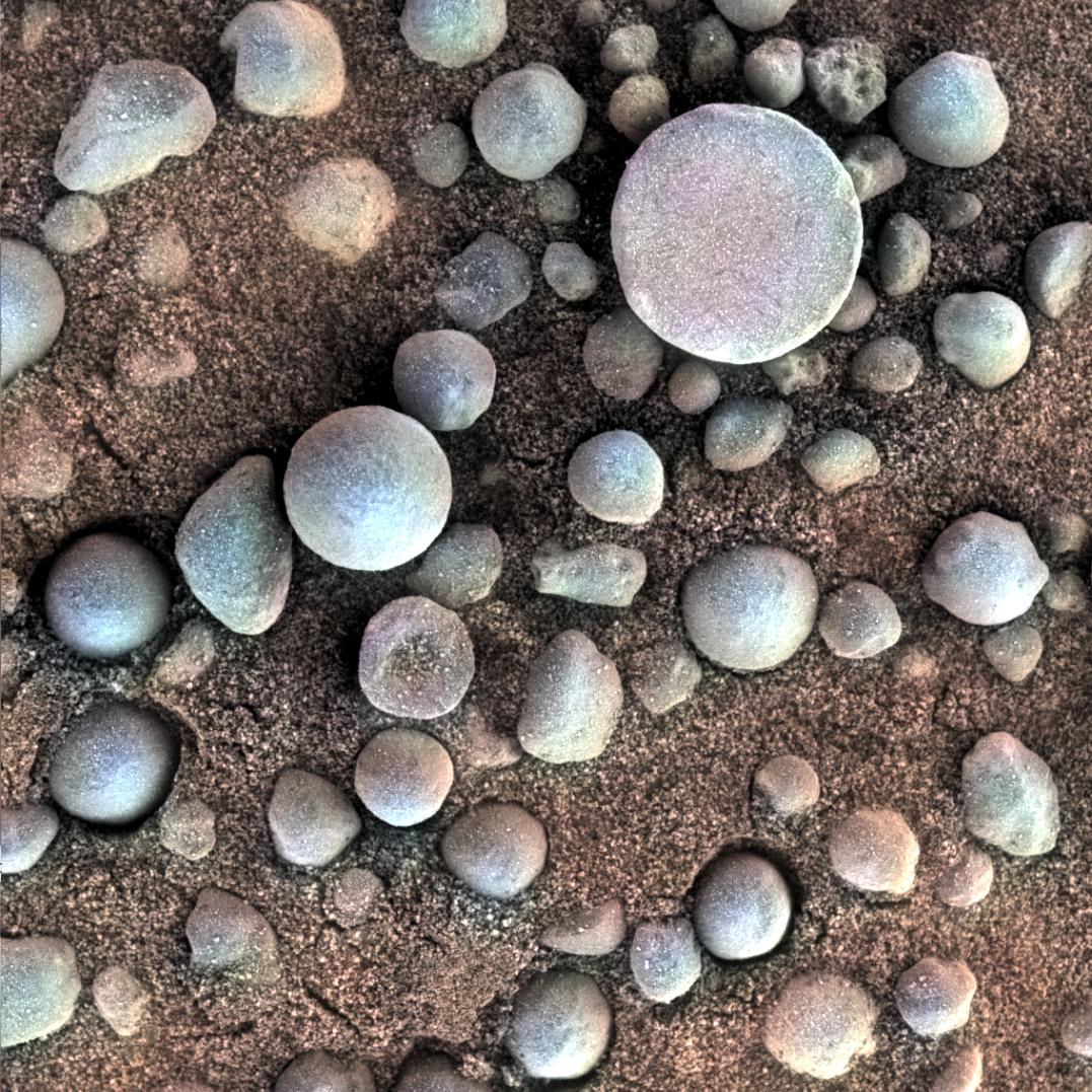 "Blueberries" (hematite concretions) on Mars imaged by the Opportunity rover