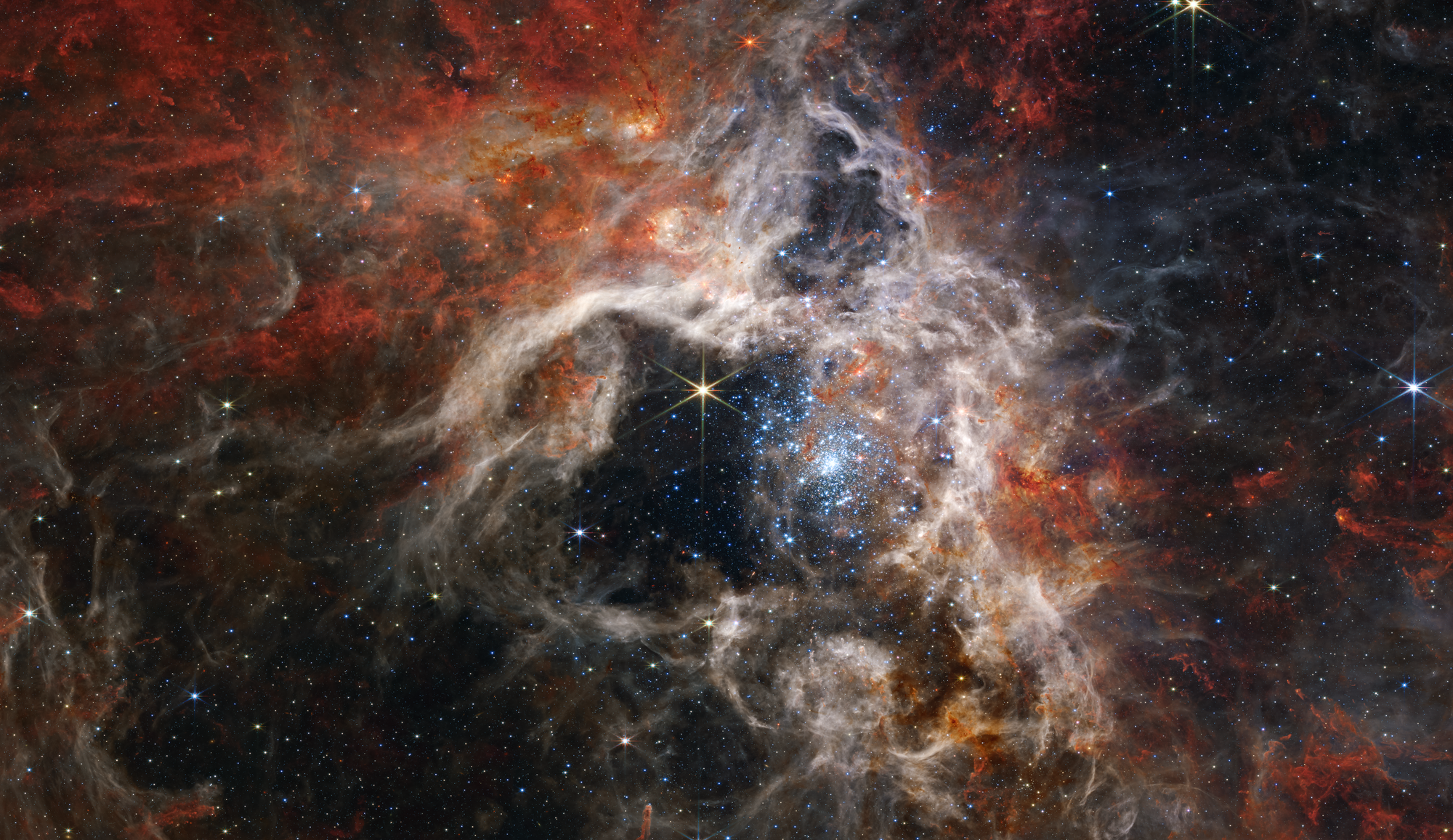 JWST NIRCam view of the Tarantula Nebula